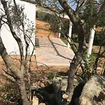 La Fragola In Campagna 6 K M Da San Pantaleo