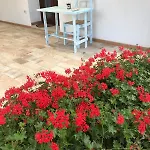 La Fragola In Campagna 6 K M Da 3*