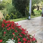 Pensión La Fragola In Campagna 6 K M Da 3*