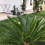 Gasthuis La Fragola In Campagna 6 K M Da 3*