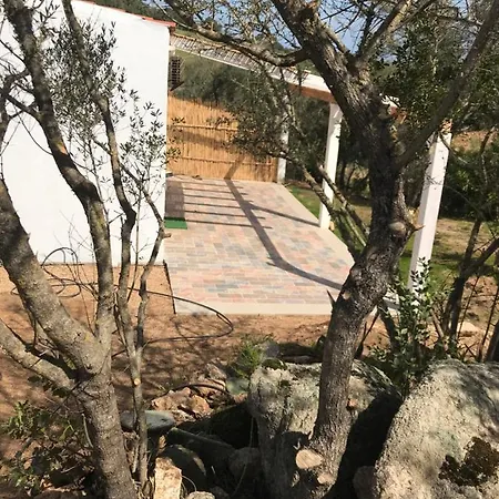 La Fragola In Campagna 6 K M Da San Pantaleo