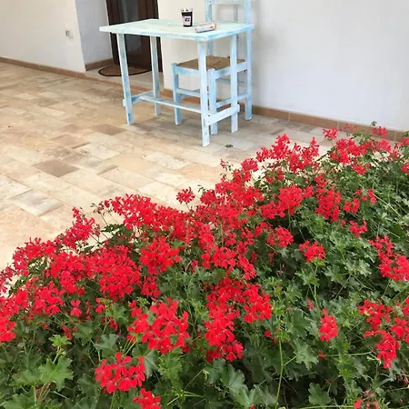La Fragola In Campagna 6 K M Da 3*