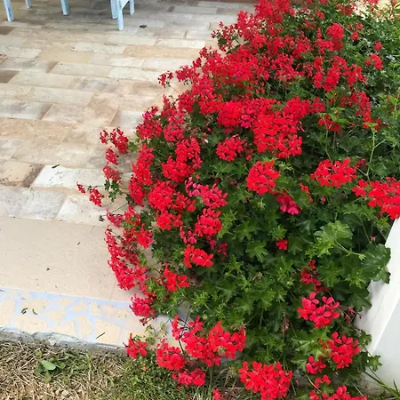 La Fragola In Campagna 6 K M Da Guest house *
