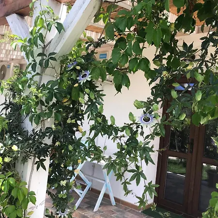 Guest house La Fragola In Campagna 6 K M Da *