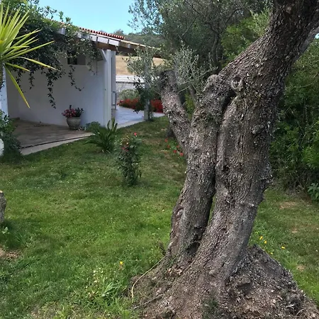 Guest house La Fragola In Campagna 6 K M Da San Pantaleo