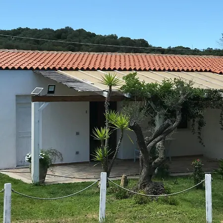 Guest house La Fragola In Campagna 6 K M Da San Pantaleo