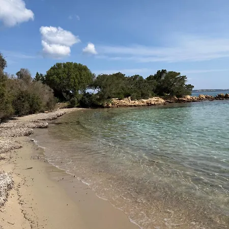 La Fragola In Campagna 6 K M Da San Pantaleo