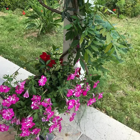 La Fragola In Campagna 6 K M Da Konukevi *