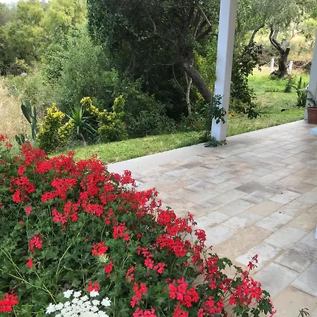 Affittacamere La Fragola In Campagna 6 K M Da 3*
