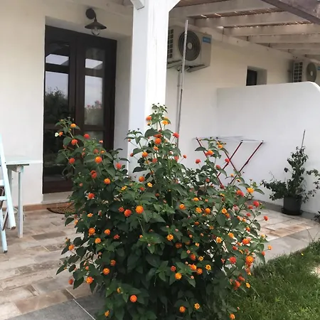 La Fragola In Campagna 6 K M Da