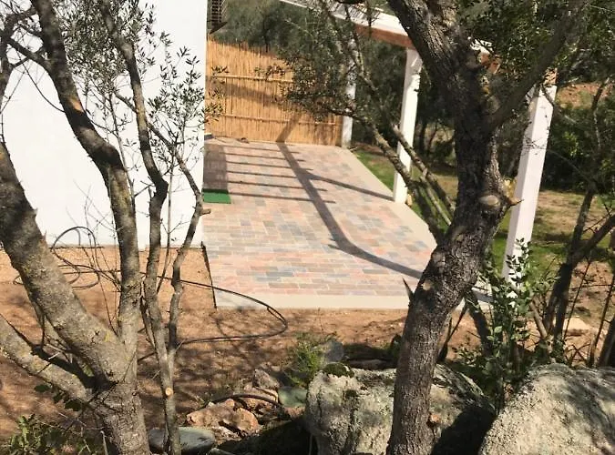 La Fragola In Campagna 6 K M Da San Pantaleo