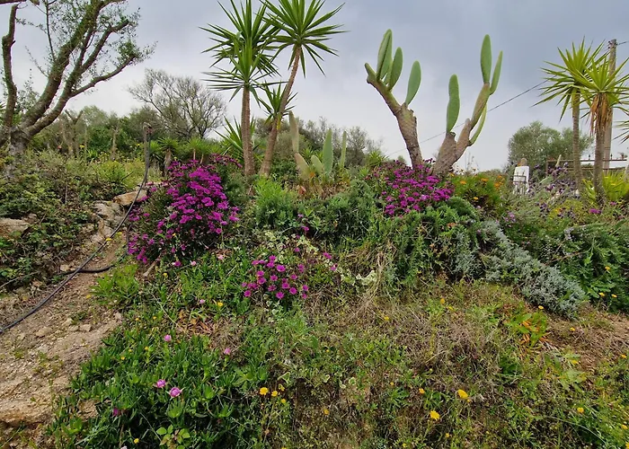 La Fragola In Campagna 6 K M Da Vendégház San Pantaleo