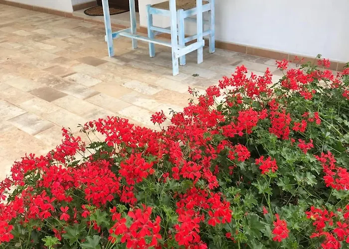 La Fragola In Campagna 6 K M Da 3*