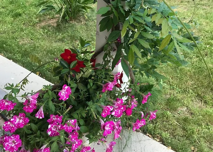 La Fragola In Campagna 6 K M Da Konukevi 3*