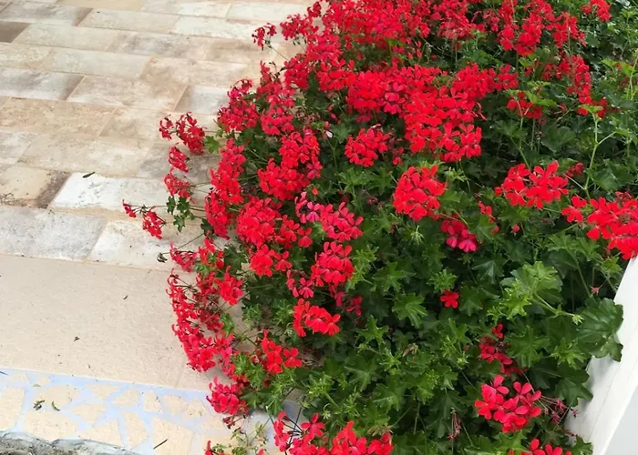 La Fragola In Campagna 6 K M Da Vendégház 3*