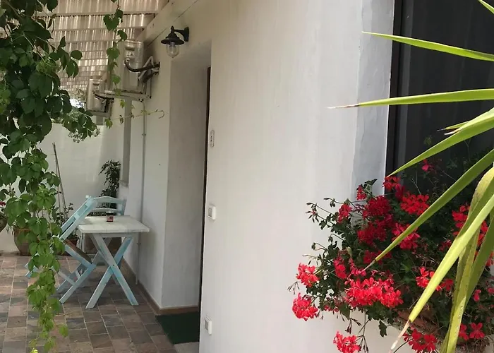 La Fragola In Campagna 6 K M Da Vendégház