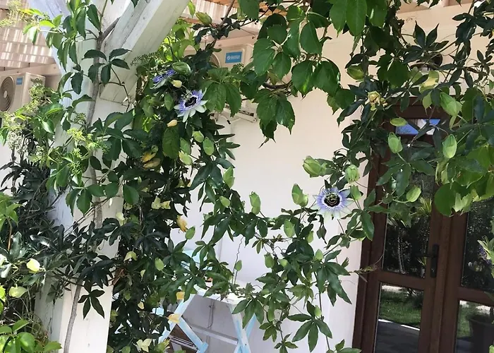 Vendégház La Fragola In Campagna 6 K M Da 3*