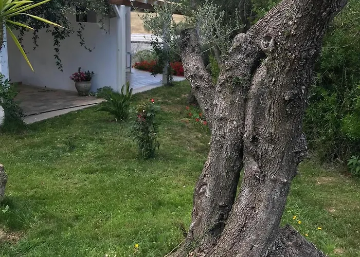 Konukevi La Fragola In Campagna 6 K M Da San Pantaleo