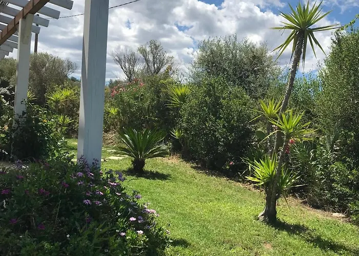 La Fragola In Campagna 6 K M Da San Pantaleo