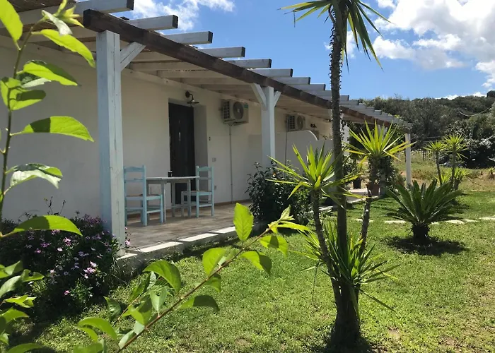 La Fragola In Campagna 6 K M Da San Pantaleo