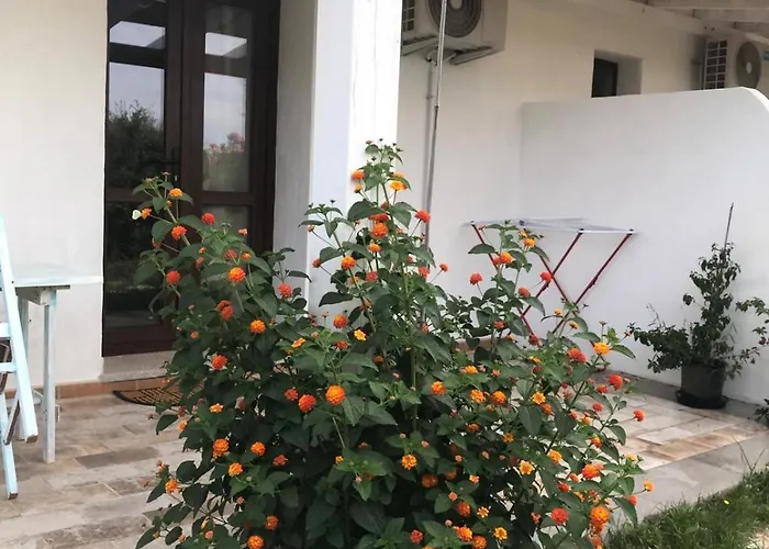 La Fragola In Campagna 6 K M Da