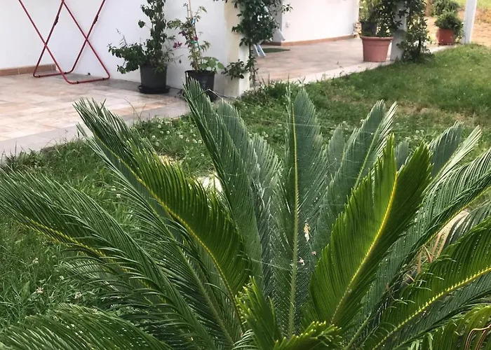 Vendégház La Fragola In Campagna 6 K M Da 3*